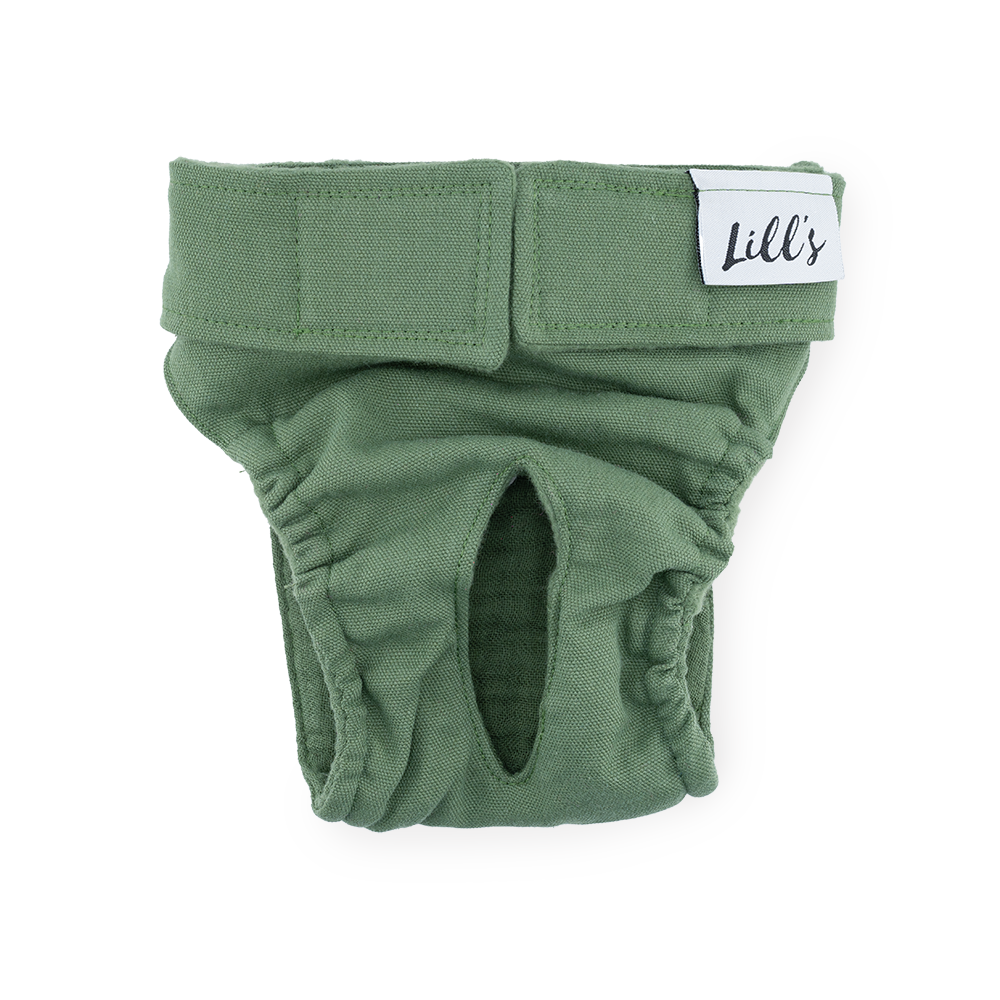 Läufigkeitshöschen "Lou" | Olive