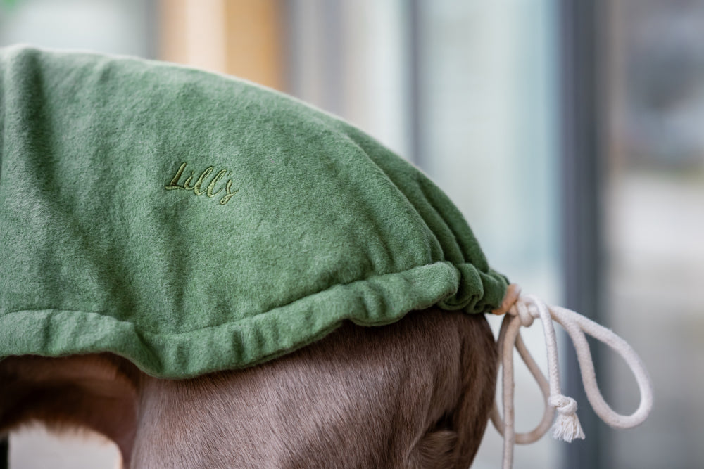 Lills Hundepullover Olive Detail tail