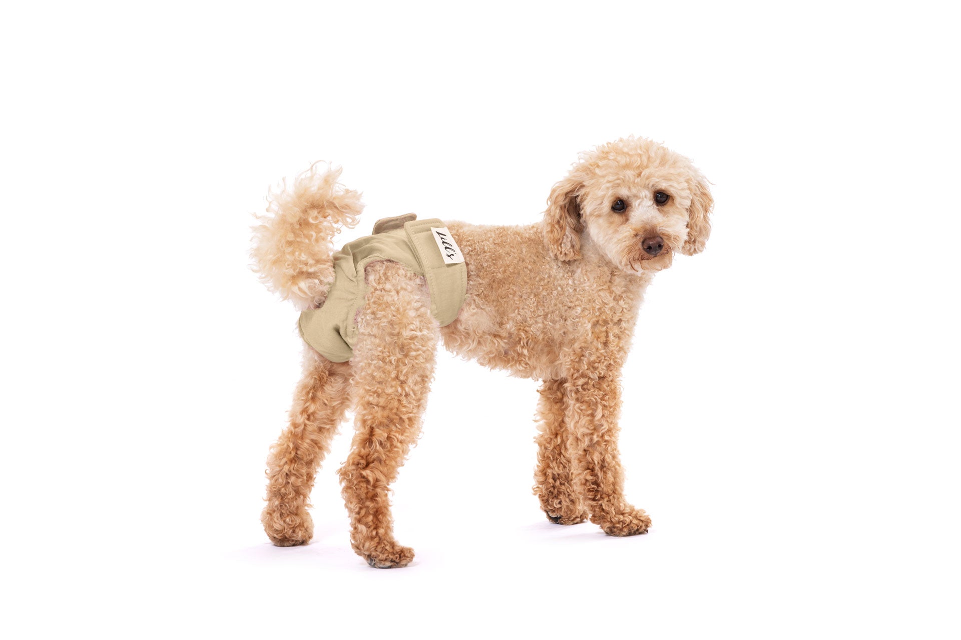 Läufigkeitshöschen "Lou" | Sand