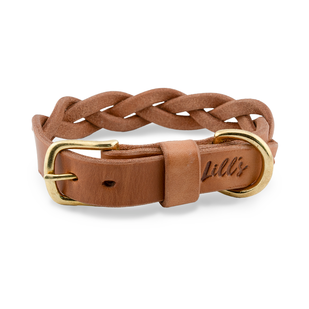 Hundehalsband aus Sattelleder