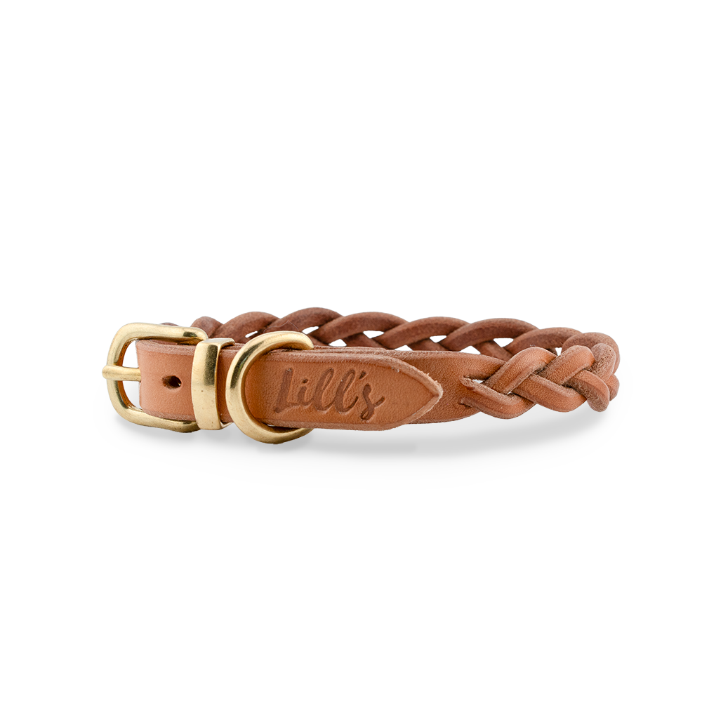 Hundehalsband aus Leder| für kleine Hunde