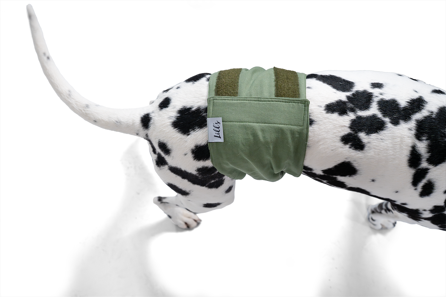 Lill's Rüdenhose Dalmatiner von oben