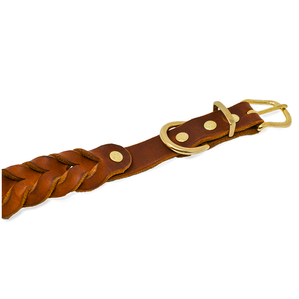 Hundehalsband aus Fettleder | Cognac