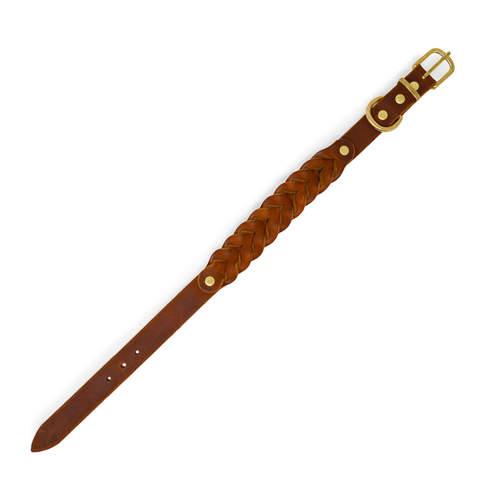Hundehalsband aus Fettleder | Cognac