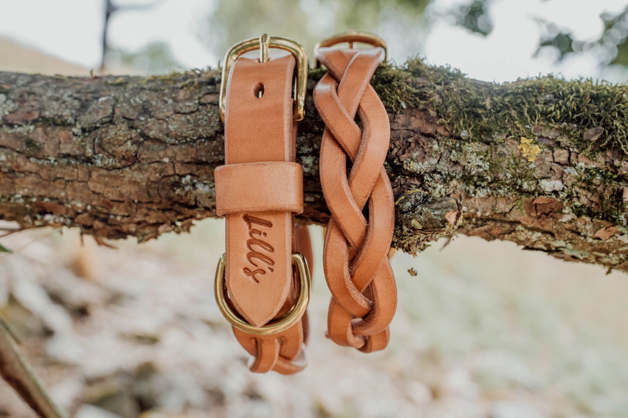 Hundehalsband aus Blankleder