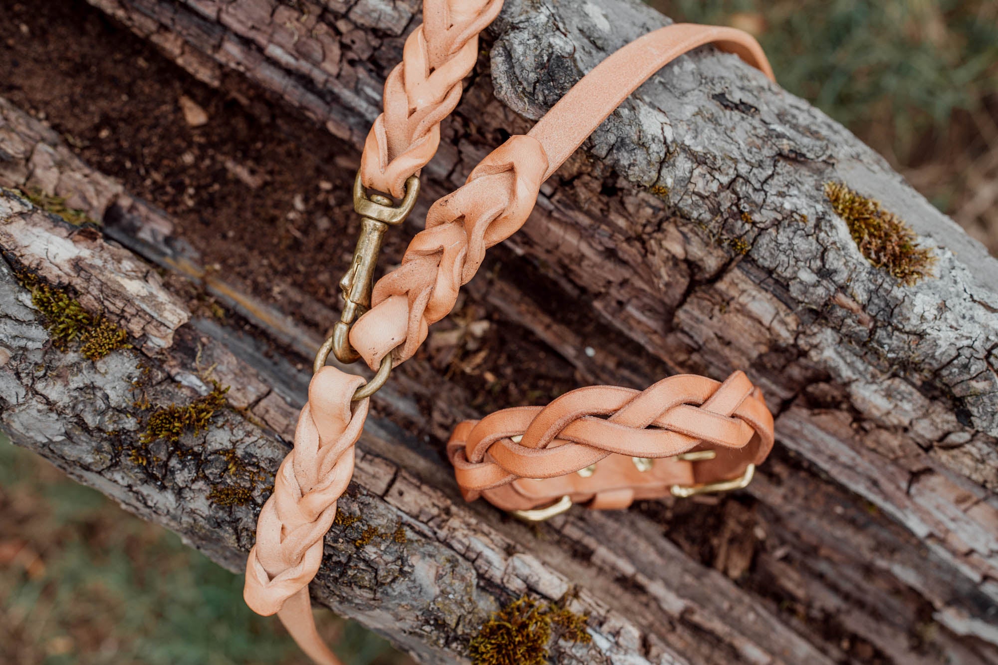 Hundehalsband aus Leder