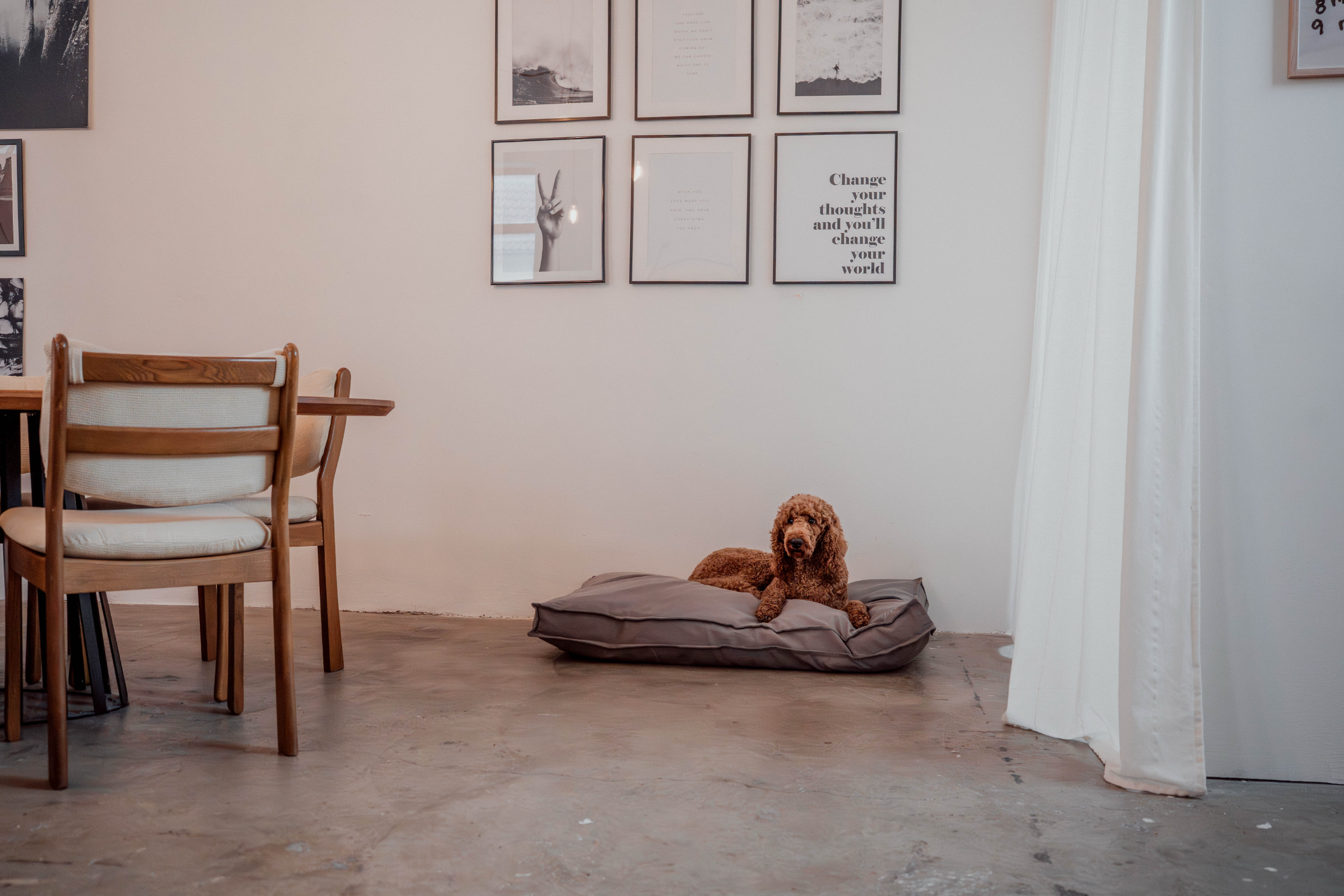 Pudel liegt auf Hundebett Wilma Stone Grey