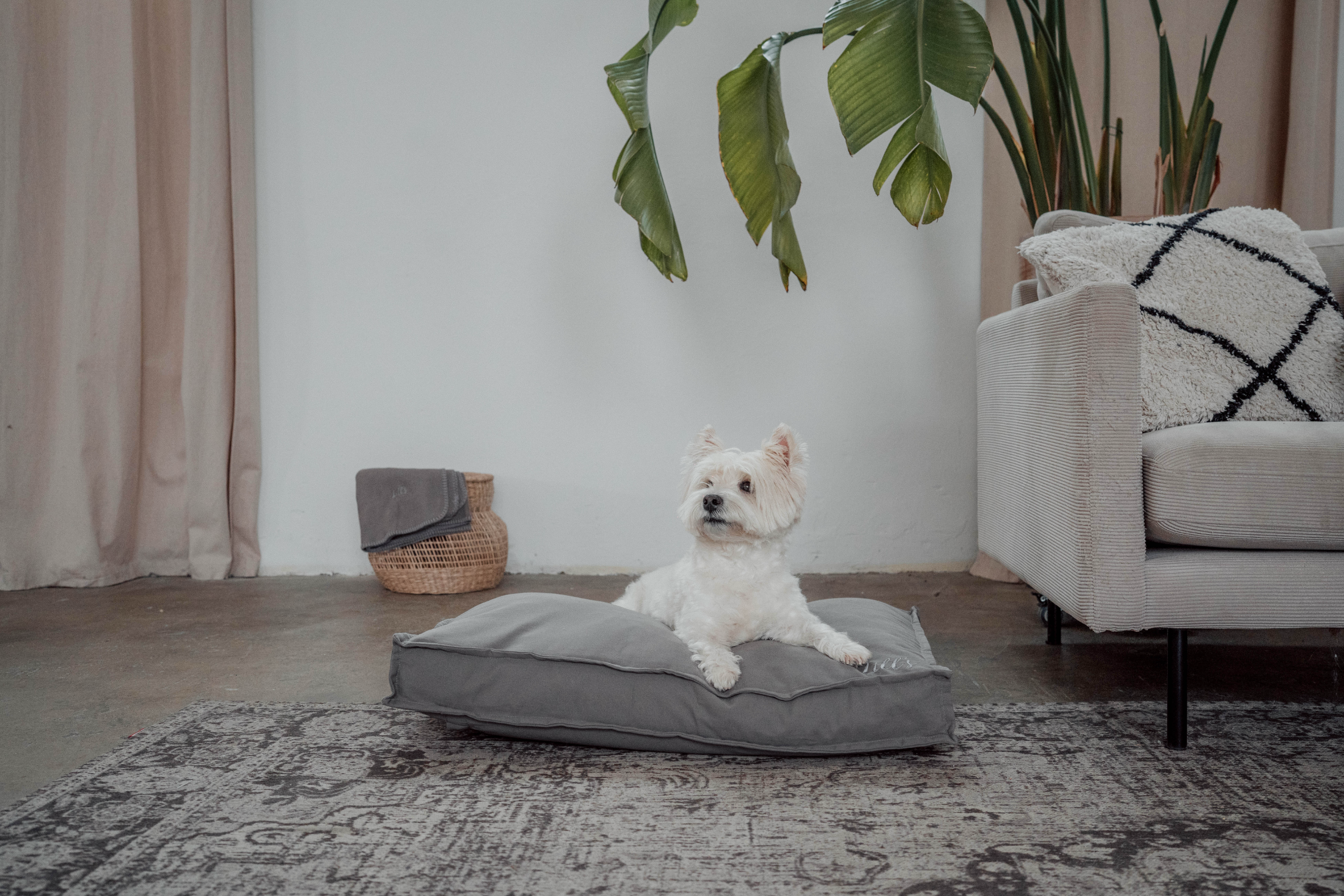 Hundebett grau aus Baumwolle  Wilma Stone Grey | Lill's