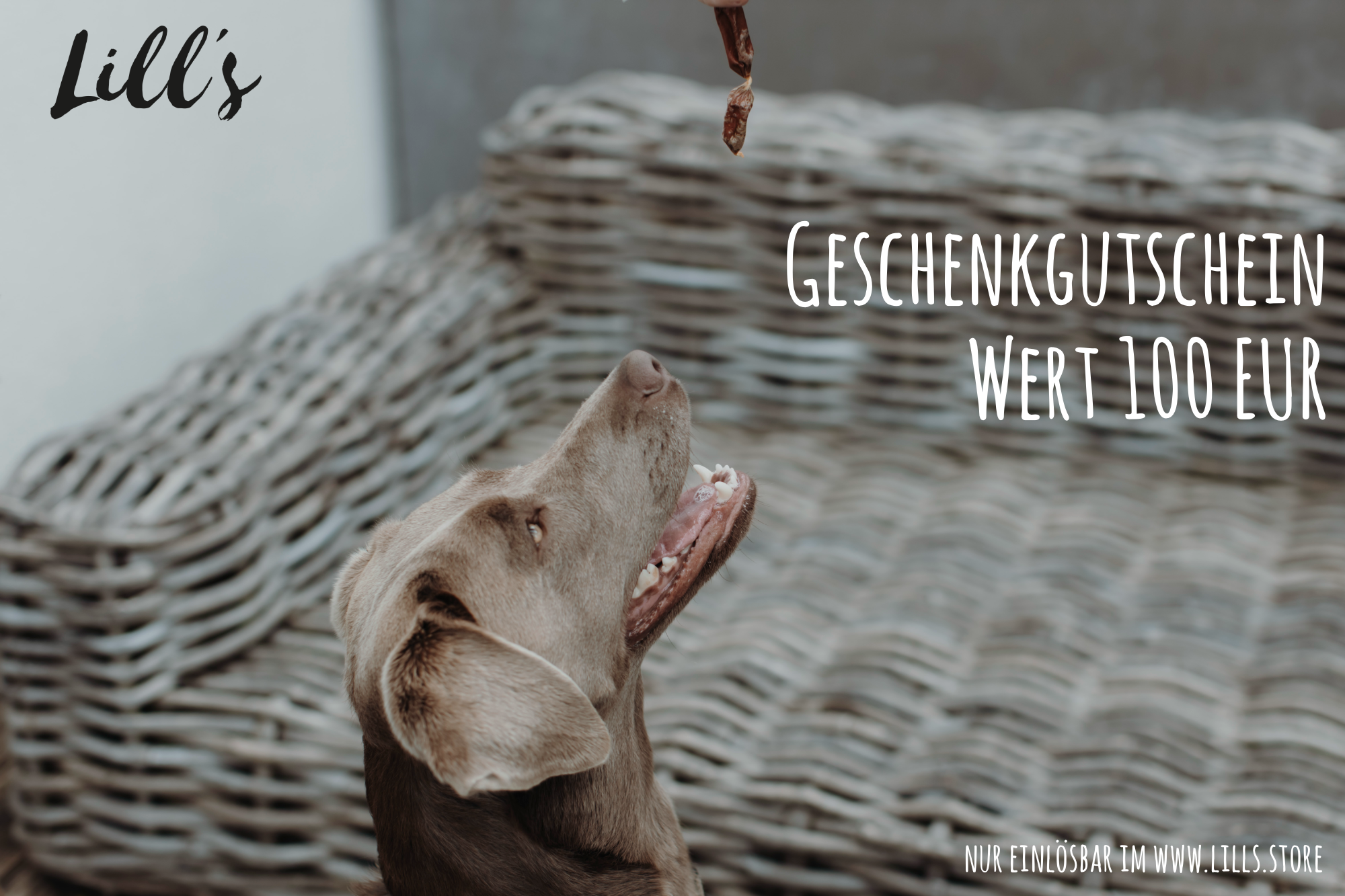 LILL'S STORE Geschenkgutschein