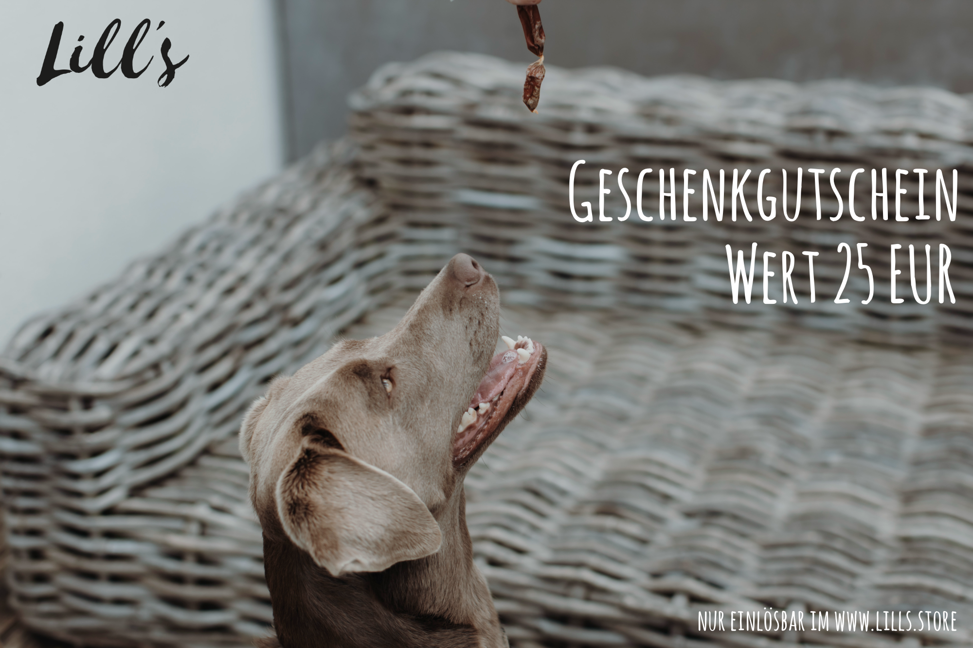 LILL'S STORE Geschenkgutschein