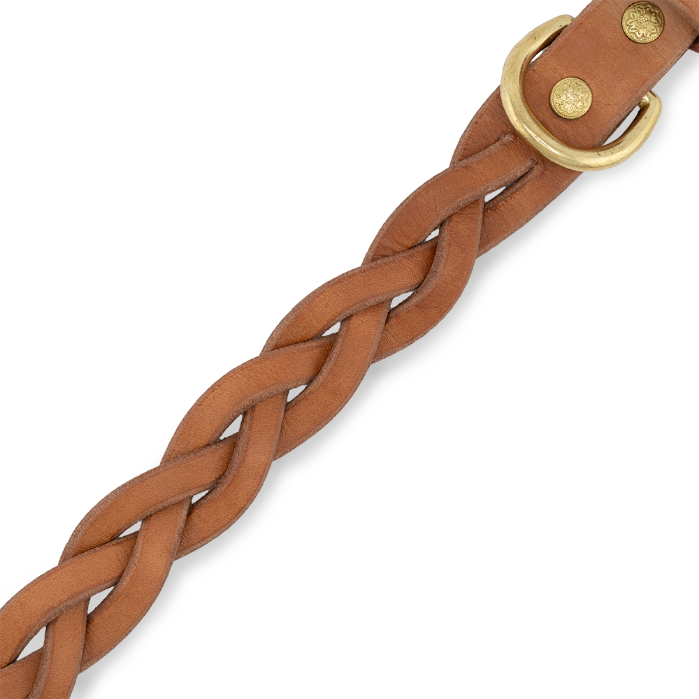 Hundehalsband aus Leder
