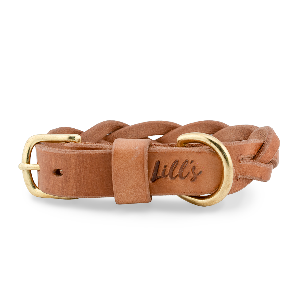 Hundehalsband aus Leder