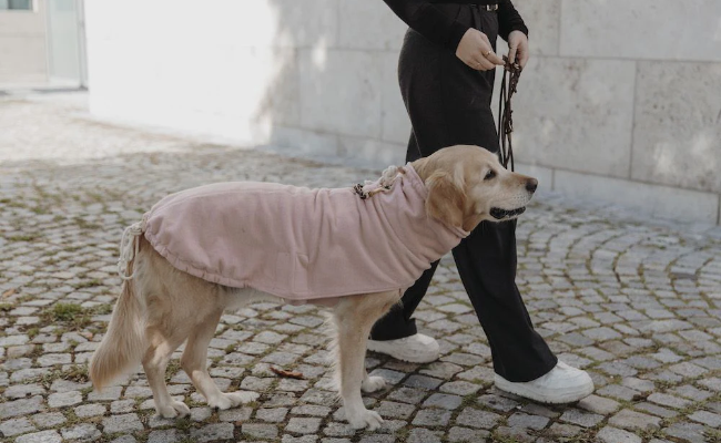 Cyeollo Fleece-Hundeschlafanzug – Thermo, Dehnbar, Mit Klettverschluss Für Kleine Hunde (Rosa)