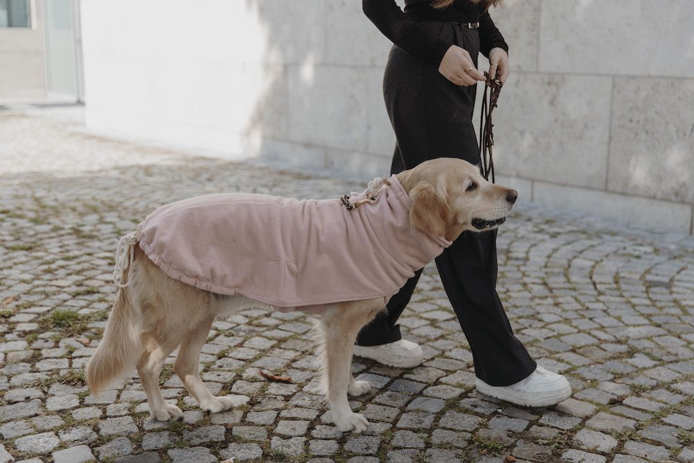 Hundepullover | Pink Berry